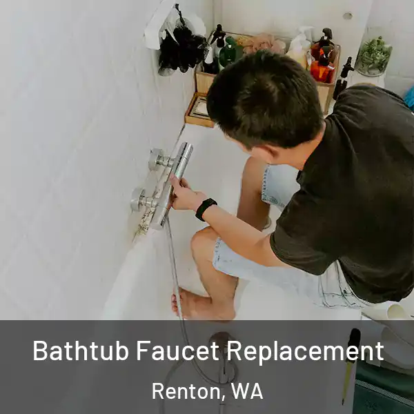  Bathtub Faucet Replacement Renton, WA