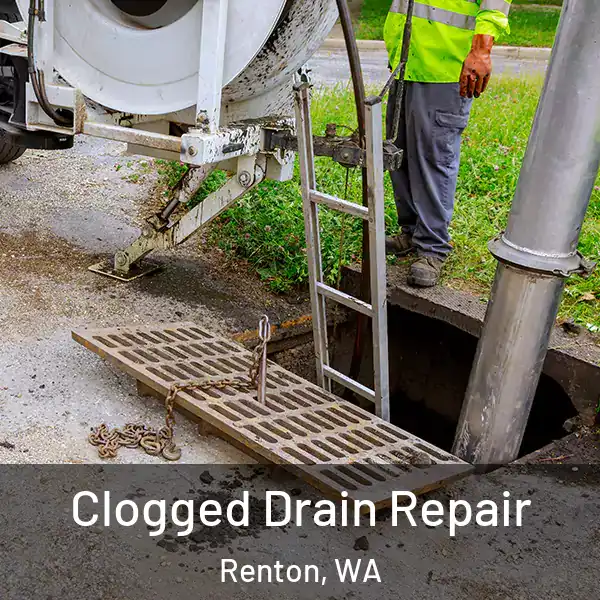  Clogged Drain Repair Renton, WA