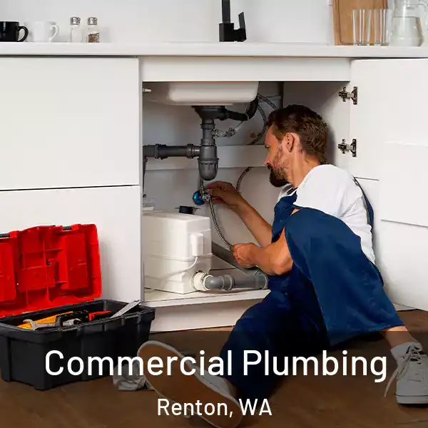  Commercial Plumbing Renton, WA
