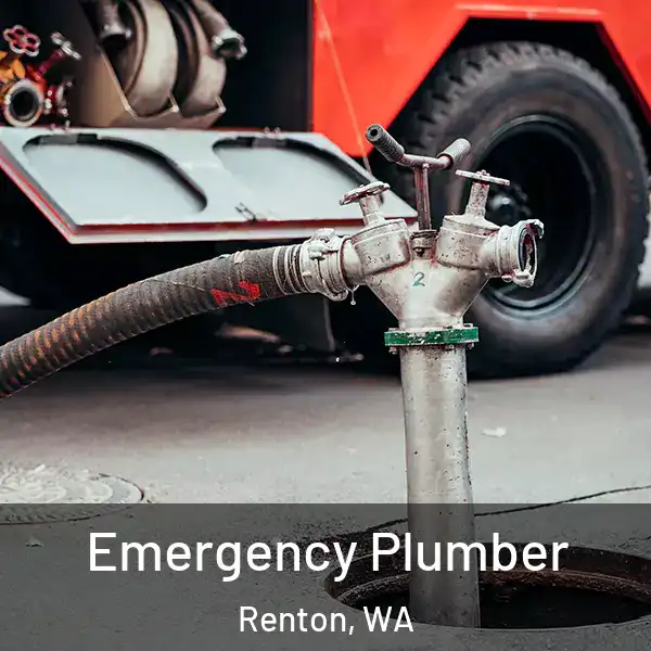  Emergency Plumber Renton, WA