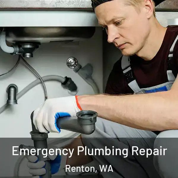  Emergency Plumbing Repair Renton, WA