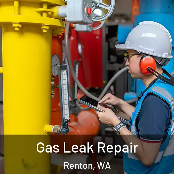  Gas Leak Repair Renton, WA