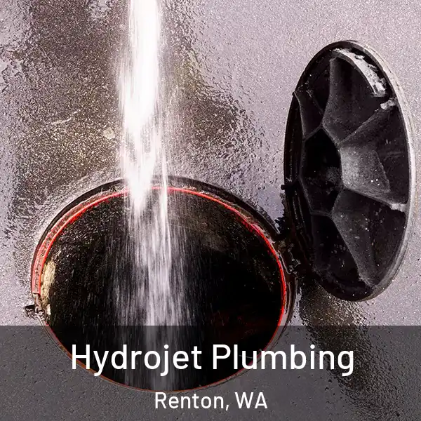  Hydrojet Plumbing Renton, WA
