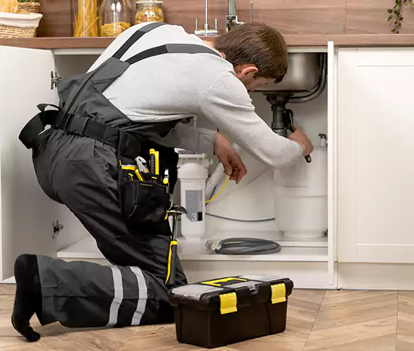 Certified Plumbers for Insinkerator Installation in Renton
