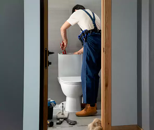 Professional Plumbers for Toilet Bowl Replacement in Renton, WA: Schedule Affordable Toilet Replacement Services With Us