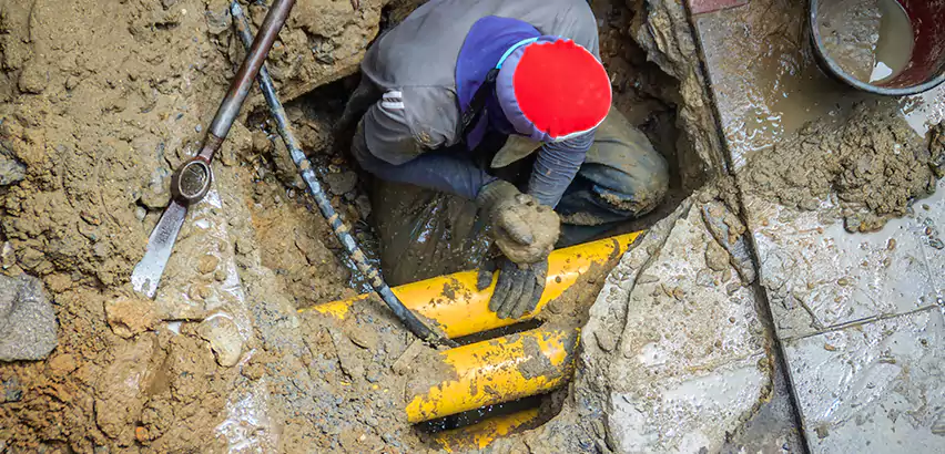 Clogged Drain Repair in Renton, WA