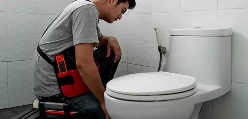 Toilet Repair in Renton