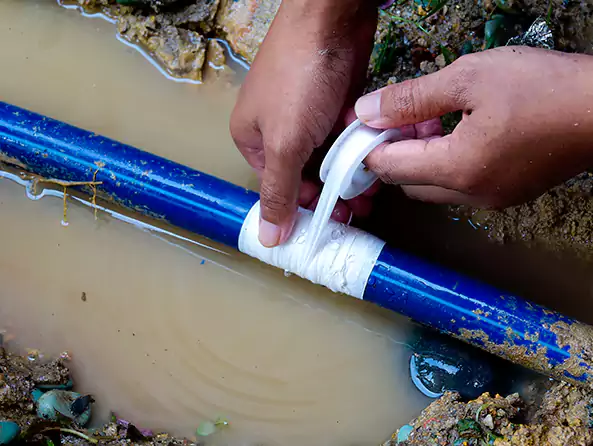  Why Choose Fox Plumbing Renton for Water Line Repair in Renton, WA?]