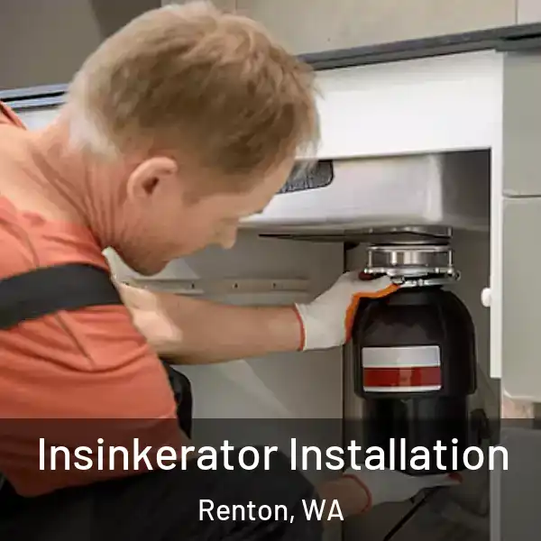  Insinkerator Installation Renton, WA