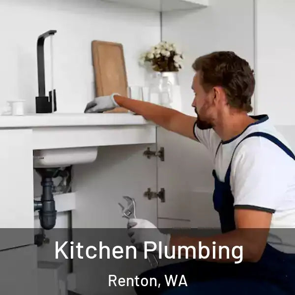  Kitchen Plumbing Renton, WA