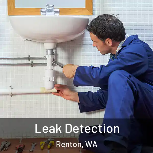 Leak Detection Renton, WA