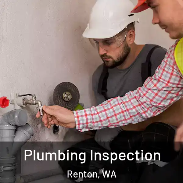  Plumbing Inspection Renton, WA