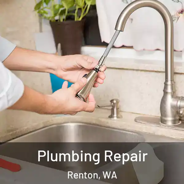  Plumbing Repair Renton, WA