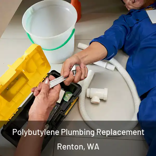  Polybutylene Plumbing Replacement Renton, WA