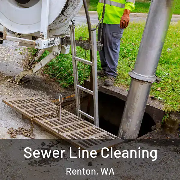  Sewer Line Cleaning Renton, WA