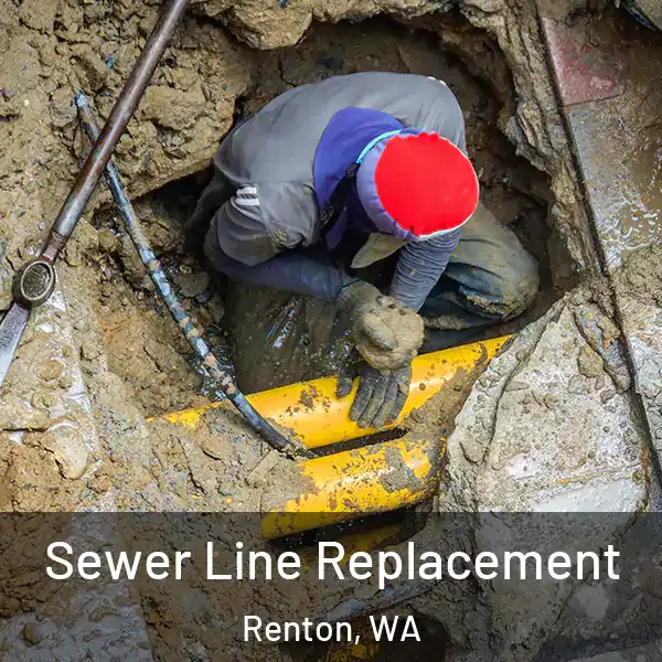  Sewer Line Replacement Renton, WA
