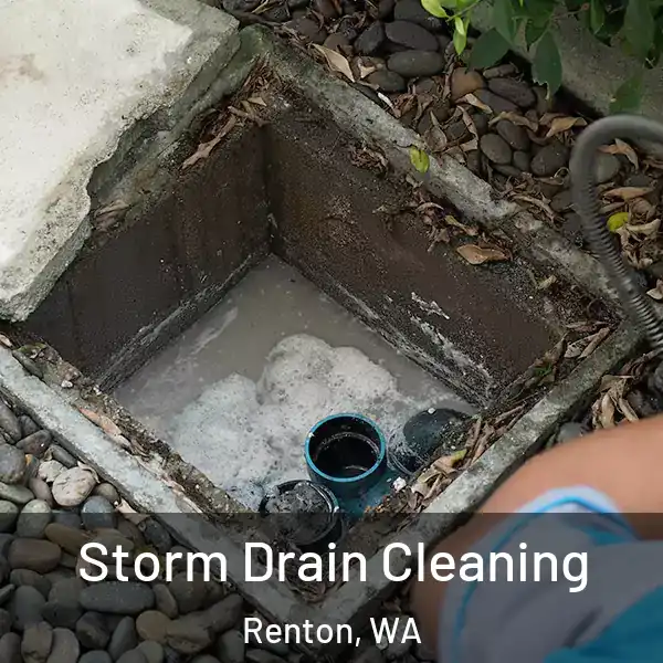  Storm Drain Cleaning Renton, WA