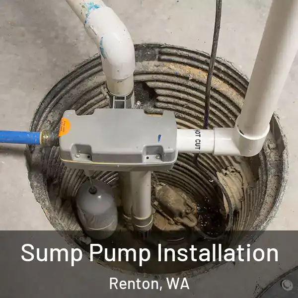  Sump Pump Installation Renton, WA