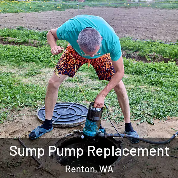 Sump Pump Replacement Renton, WA