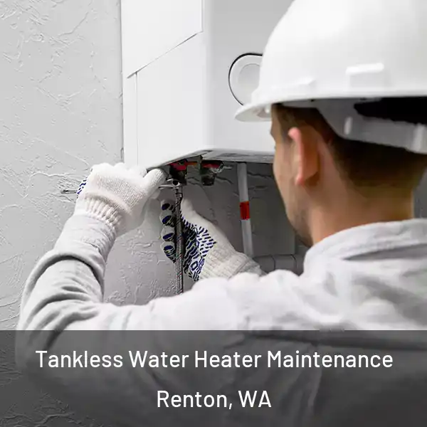  Tankless Water Heater Maintenance Renton, WA