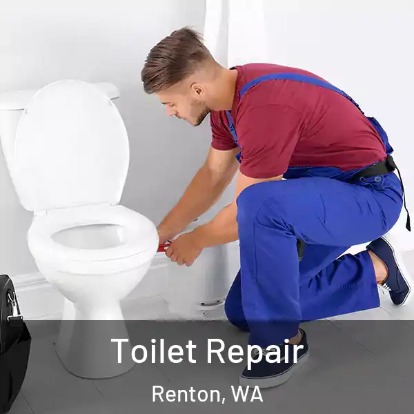  Toilet Repair Renton, WA