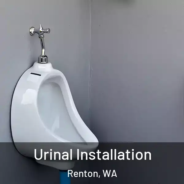  Urinal Installation Renton, WA