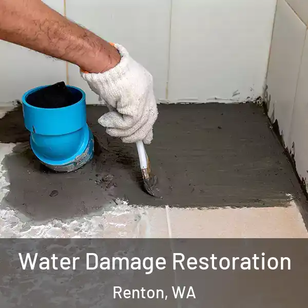  Water Damage Restoration Renton, WA