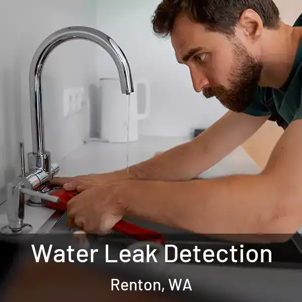  Water Leak Detection Renton, WA