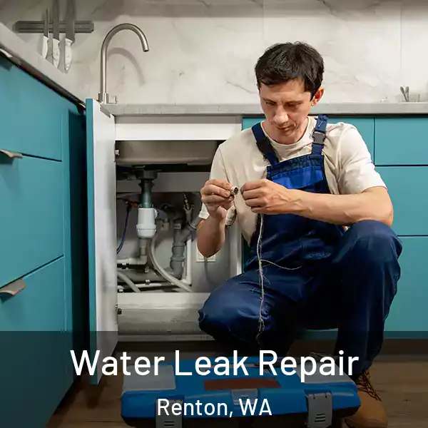  Water Leak Repair Renton, WA