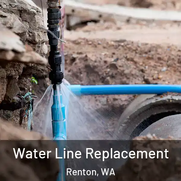  Water Line Replacement Renton, WA